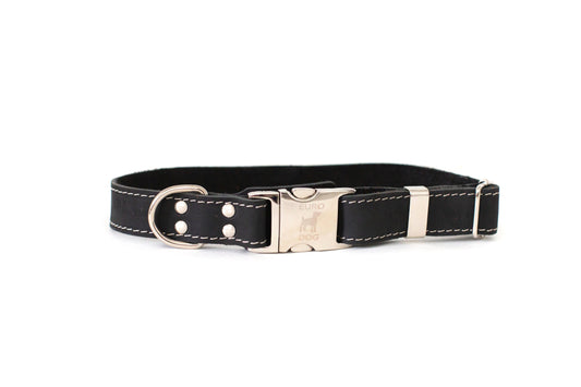Pro Line Quick-Release Leather Dog Collar with Metal Buckle - Midnight Black Leather w/ White Stitching