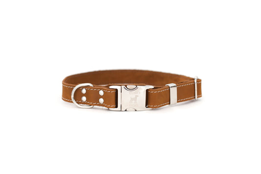 Pro Line Quick-Release Dog Collar with Metal Buckle - Earth Brown Leather w/ White Stitching