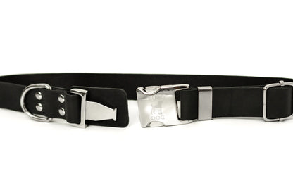 Modern Style Quick-Release Midnight Black Leather Dog Collar