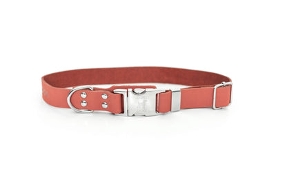 Modern Style Quick-Release Leather Dog Collar - Coral Reef