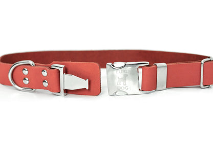Modern Style Quick-Release Leather Dog Collar - Coral Reef