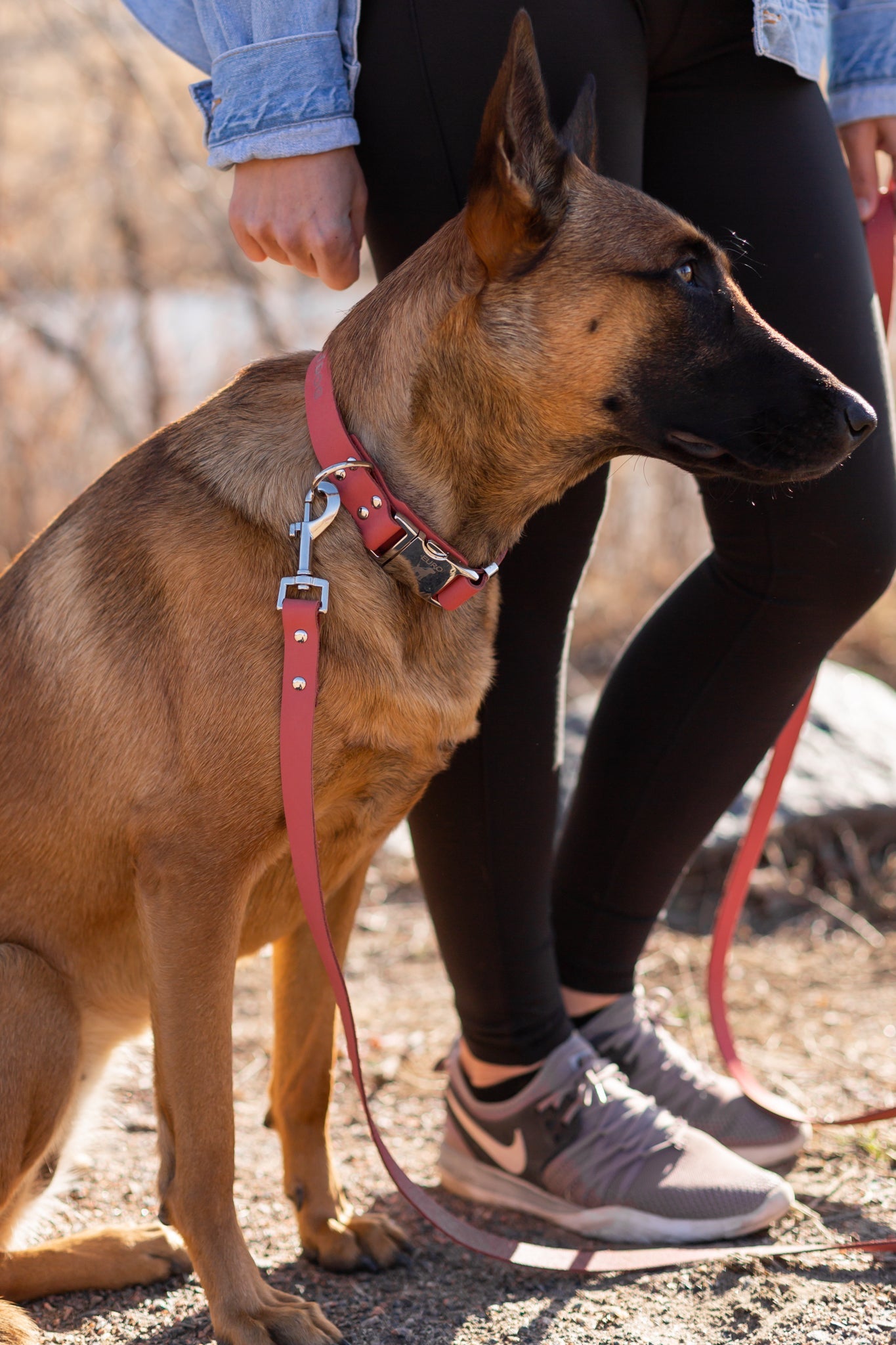 Modern Style Quick-Release Leather Dog Collar - Coral Reef