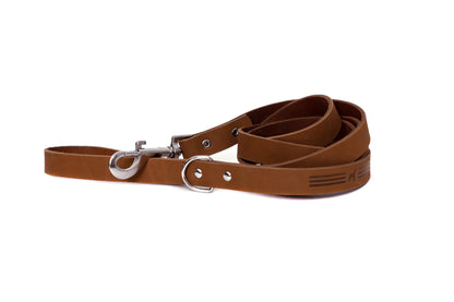 Modern Style Leather Leash - Earth Brown