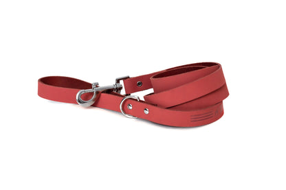 Modern Style Leather Leash - Coral Reef