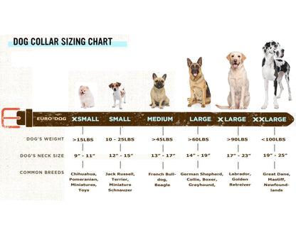 Collar + Leash Set - Classic Strap Pro Line Leather